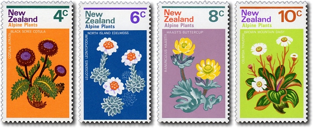 1972 Alpine Flowers