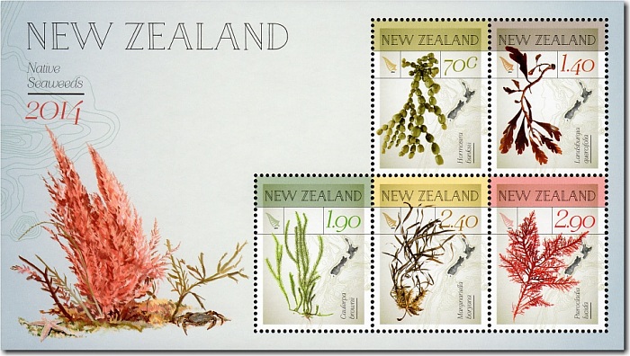 2014 New Zealand Native Seaweeds