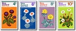 1972 Alpine Flowers