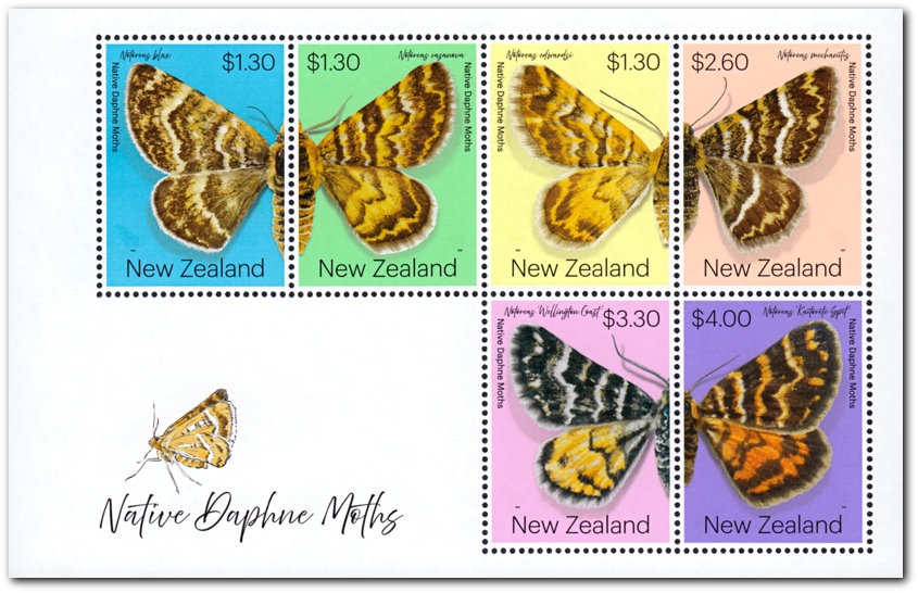 2020 Native Daphne Moths