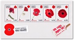 2022 Poppy Appeal - 100 Years